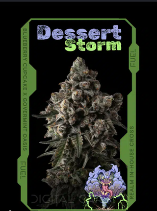 Dessert Storm Realm