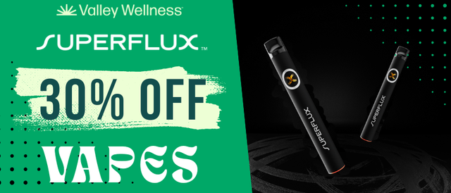 wellness vapes Sky Wellness 400mg Relax Disposable Pen Blueberry main image 1