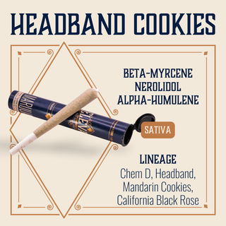 Cannabis Promo, Cannabis Sales, Cannabis Discounts, Cannabis on Sale, $10 Elevate 1g Pre-Rolls 2