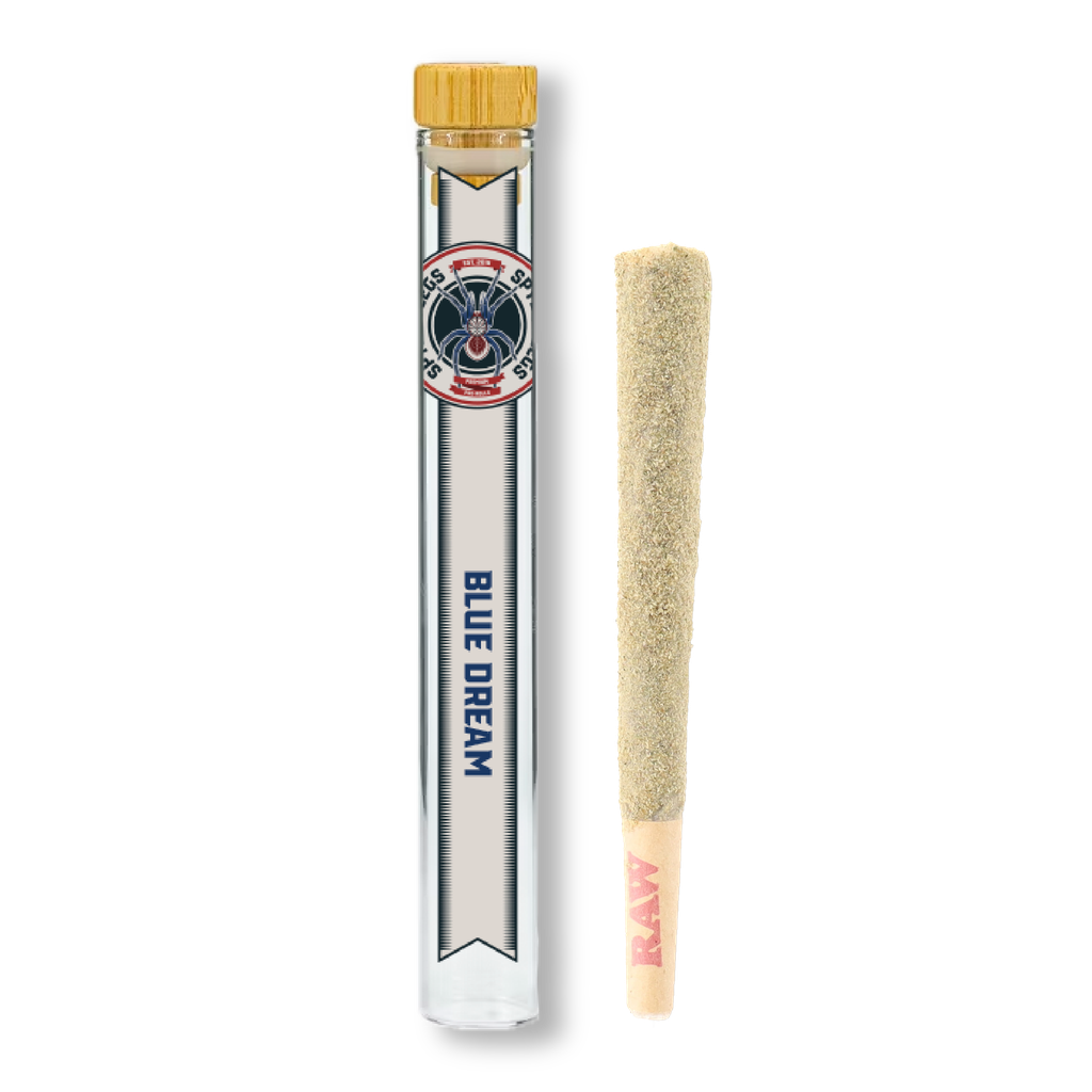 Buy Blue Dream Single | 1.25g Tarantula Infused Pre-Roll online