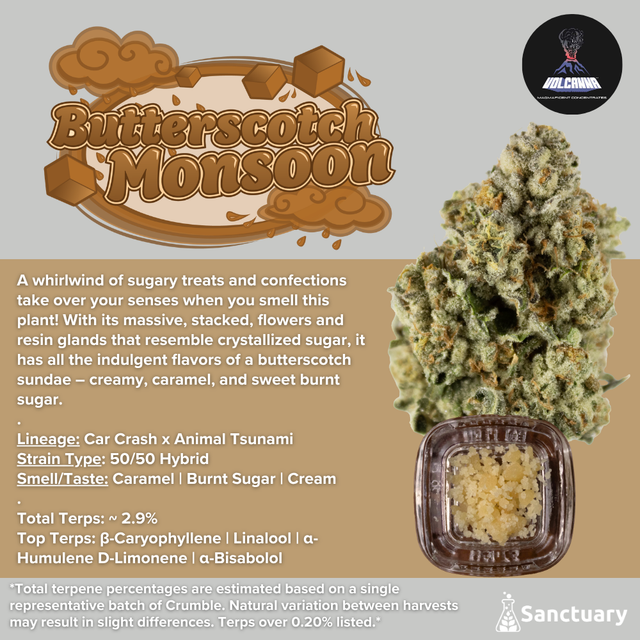 Baller Jar - Butterscotch Monsoon - Cured Resin Volcanna
