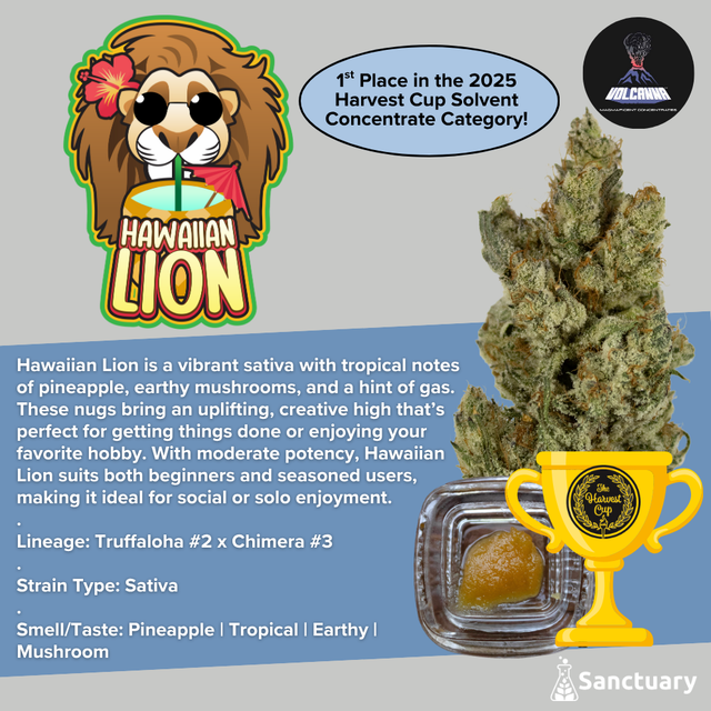 Baller Jar - Hawaiian Lion - Cured Resin Volcanna