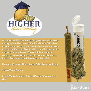 Higher Understanding Sanctuary