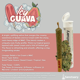 Icy Guava Sanctuary