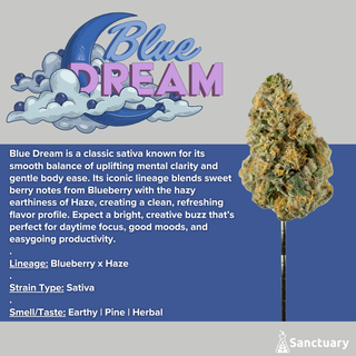 Blue Dream Sanctuary