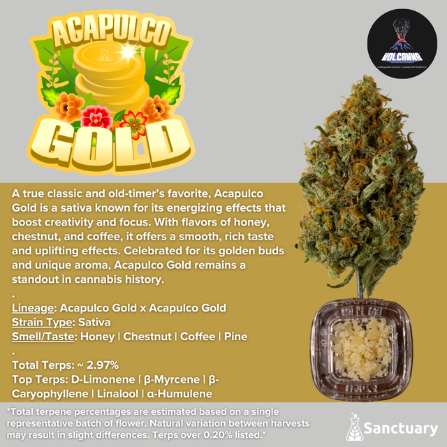 Acapulco Gold - Cured Resin Volcanna