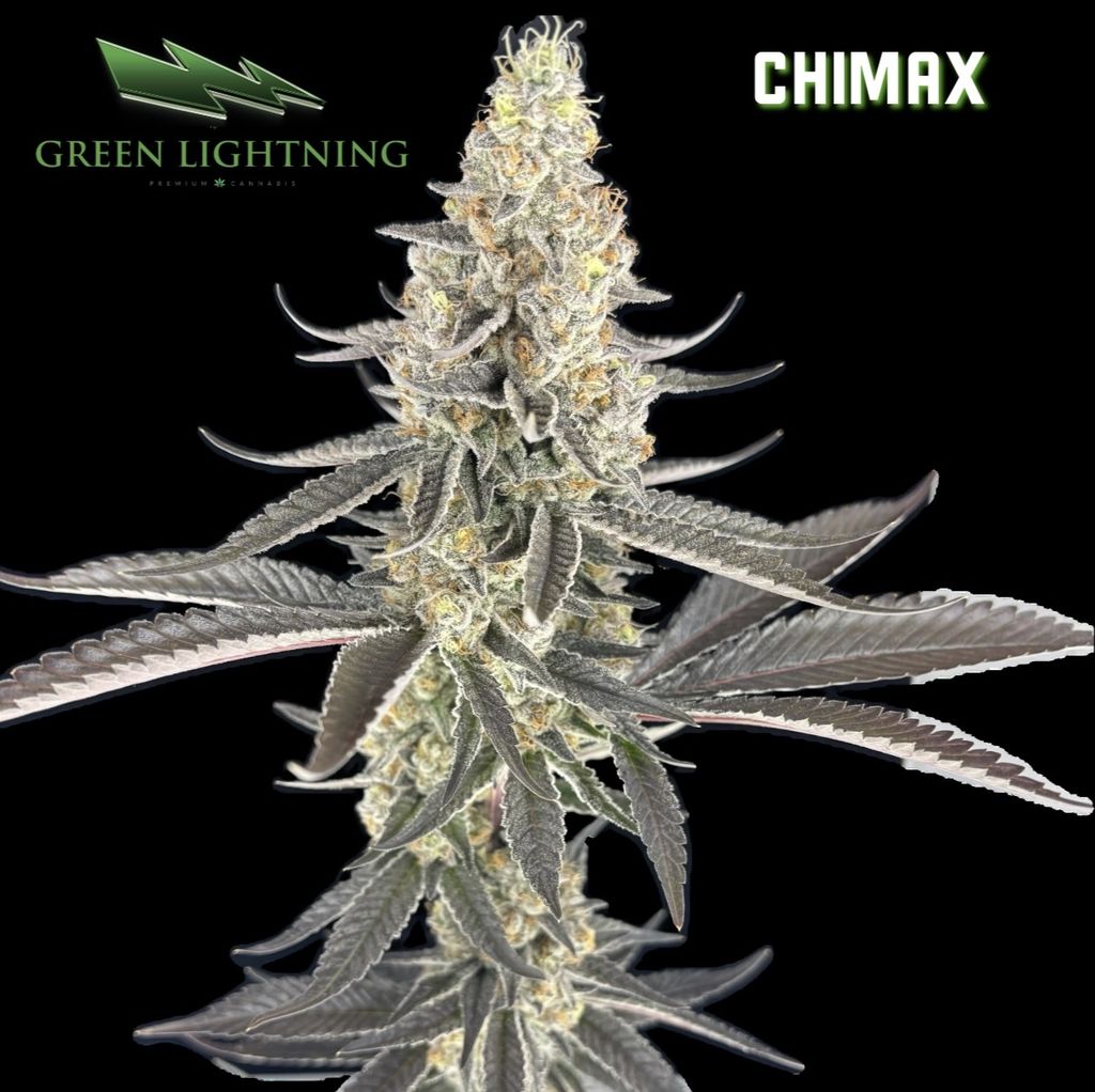 Buy Chimax 3.5g Flower online - Authorized Dealer (Willingboro