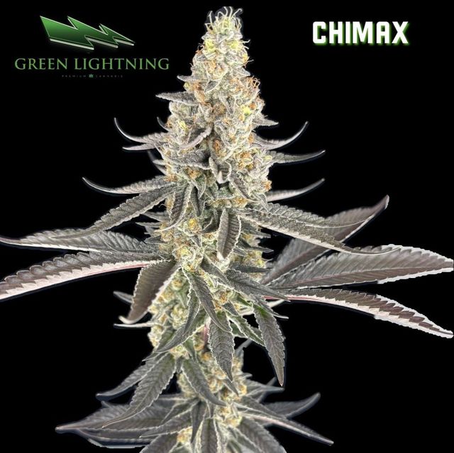 Chimax Green Lightning Chimax Green Lightning