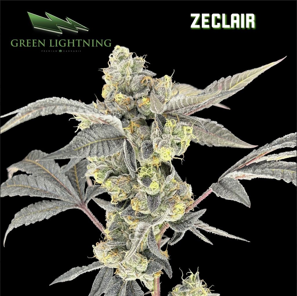 Green Lightning Zeclair Flower 3.5g