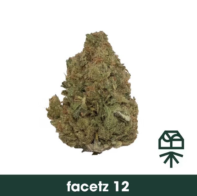 Facetz #12 Grassroots