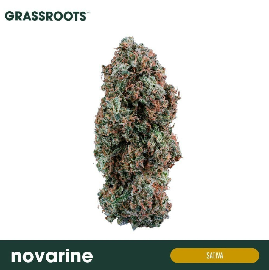 Novarine