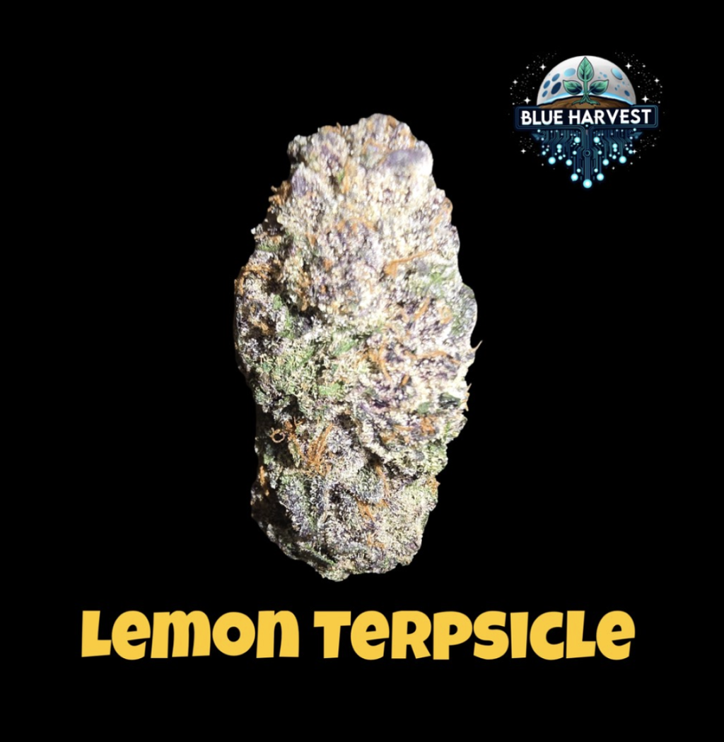Blue Harvest Lemon Terpsicle Big Bud 3.5g