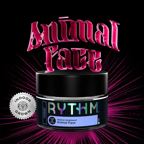 Animal Face Rythm