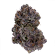 Maraschino Lemon Pop Clone Goddess Maraschino Lemon Pop Clone Goddess