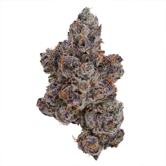 Warheads Clone Goddess Warheads Clone Goddess