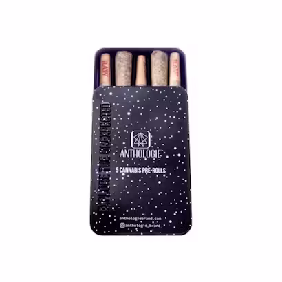 Anthologie Glitter Bomb Pre-Roll Pack 2.5g 5pk