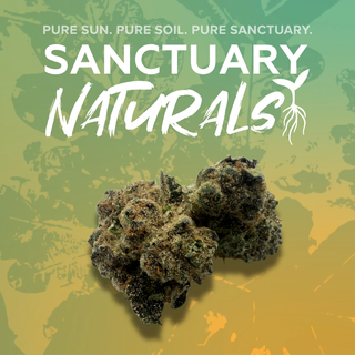 Froot Cocktail Sanctuary Cannabis