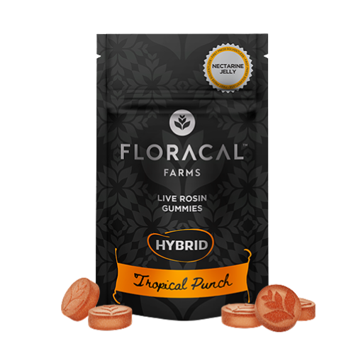Tropical Punch FloraCal Farms
