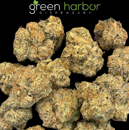 GMO x Jungle Cake 7g Preground Green Harbor