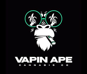 3 X 1G Pod Multipack Vapin Ape