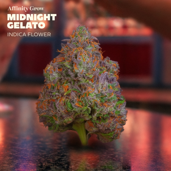 Midnight Gelato