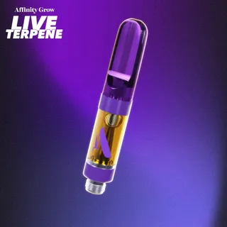 Black Maple Terpene