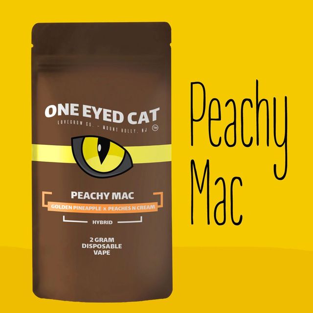 Peachy Mac One Eyed Cat