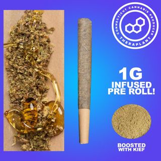 Jellyburg Infused Theraplant
