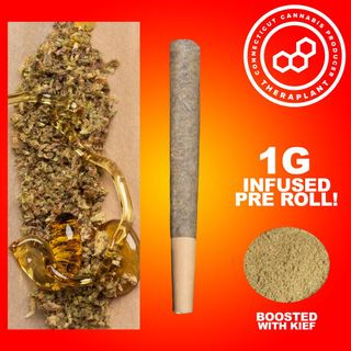 Super Snax Infused Theraplant