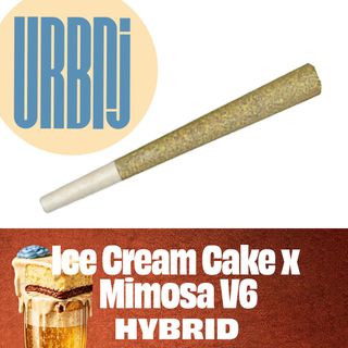 Ice Cream Cake x Mimosa V6 URBNJ