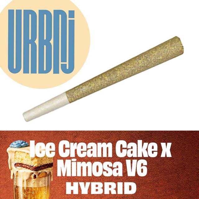 Ice Cream Cake x Mimosa V6 URBNJ