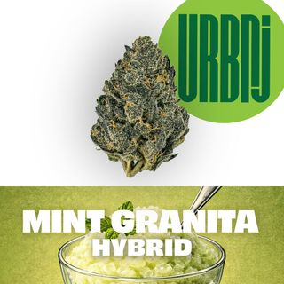 Mint Granita URBNJ