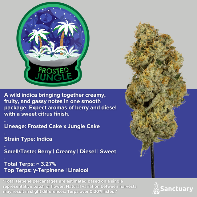 Frosted Jungle Sanctuary