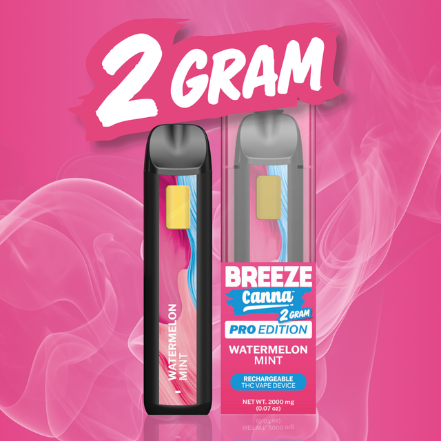Watermelon Mint Breeze Canna Watermelon Mint Breeze Canna