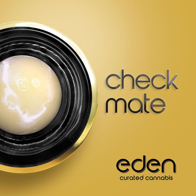 Checkmate #2