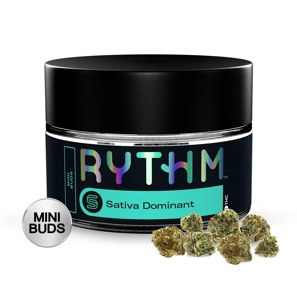 Durban Z Pre-Pack RYTHM Durban Z Pre-Pack RYTHM
