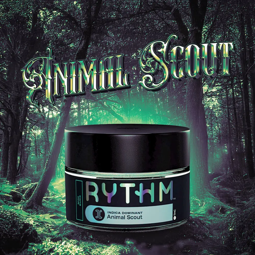 Animal Scout  RYTHM