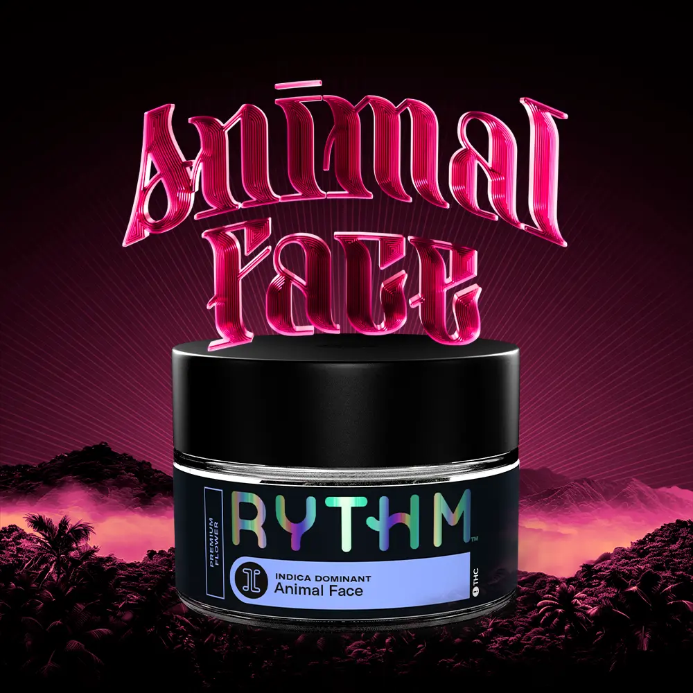 Animal Face RYTHM