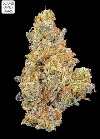 SNL Sour Family Farms