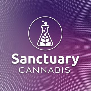Super Saucec Sanctuary Medicinals
