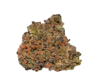Motor Banger Berkshire Buds