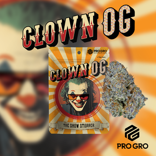 Clown OG Pro Gro