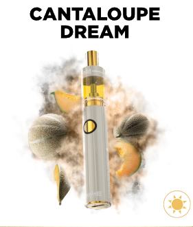 Cantaloupe Dream DIME Industries Cantaloupe Dream DIME Industries
