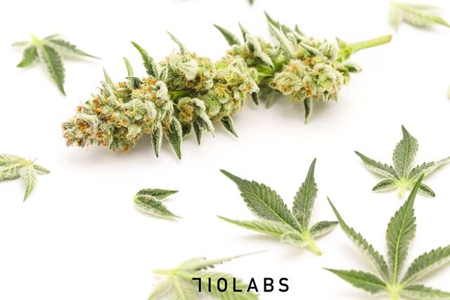 Randy Watson #13 710 Labs Randy Watson #13 710 Labs