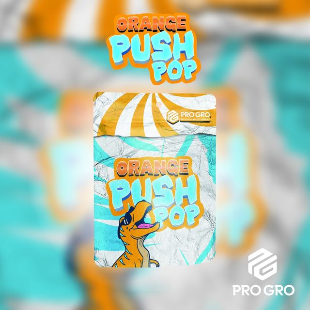 Orange Push Pop Pro Gro Orange Push Pop Pro Gro