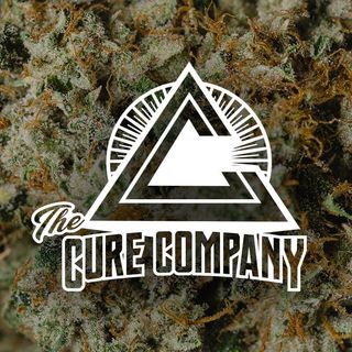 Bolato 1 oz Small Buds The Cure