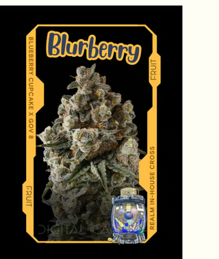 Cannabis Promo, Cannabis Sales, Cannabis Offers, Cannabis on Sale, Buy 2+ Units and Save $5 on each 2