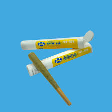 Buoyant Bob Berries N Cream V2 Pre-Roll 1g