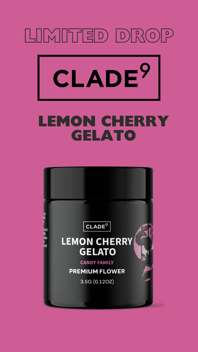 Lemon Cherry Gelato Clade 9