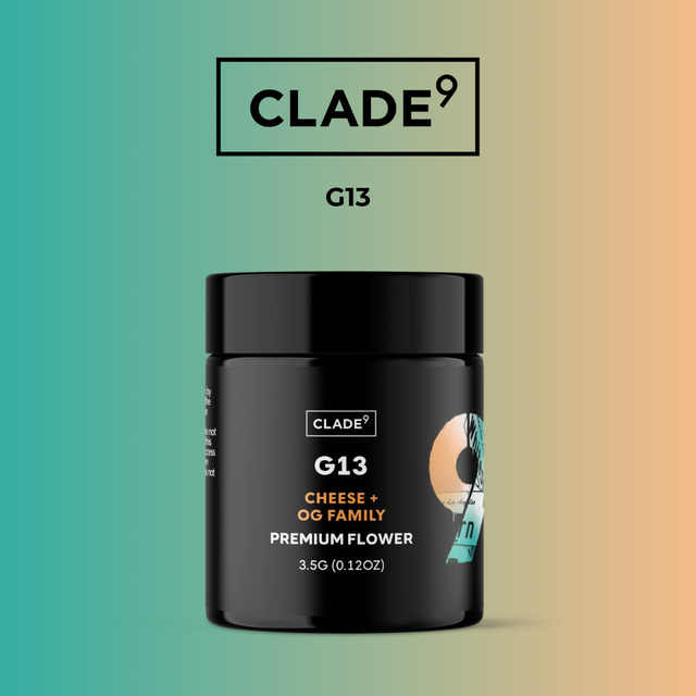 G13 Clade 9